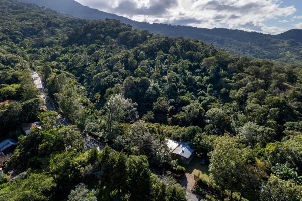 Finca de café y aguacate de boquete con vistas al volcán barú