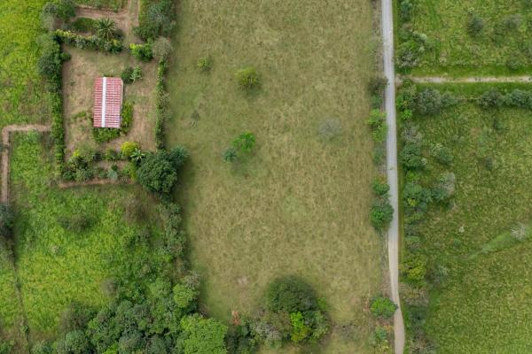 Prime flat land for sale in cochea abajo, david