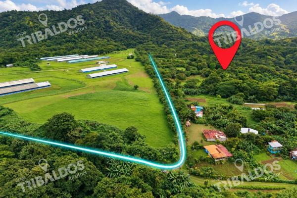 Ecotourism land for sale from el valle de antón