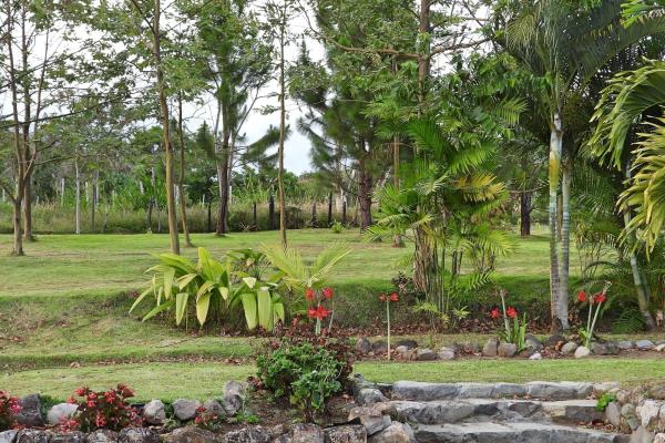 Finca campestre con múltiples edificaciones en palmira