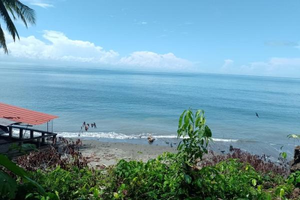 Land 172 acres in puerto armuelles, limones io