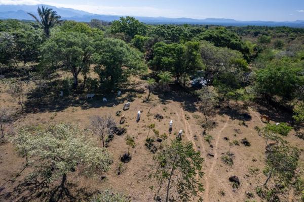 15 hectares fertile land potrerillos, chiriqui