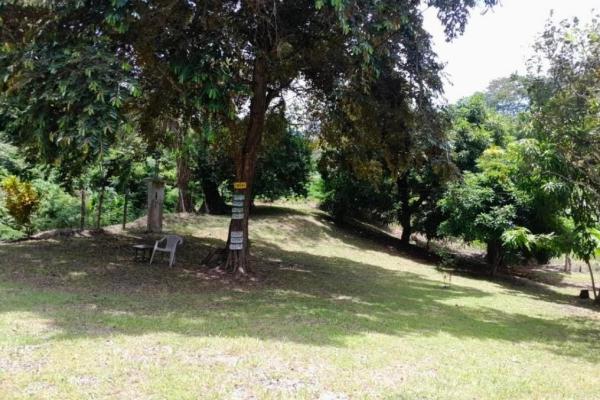 3+ ha in capira
