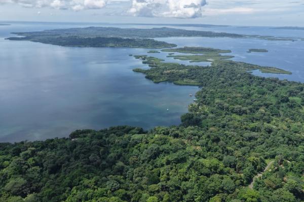 Terreno agrícola de 110 hectáreas frente al mar