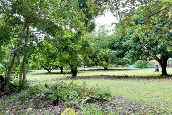 Venta de terreno en gorgona