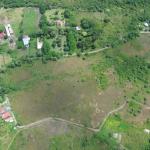 Hectares for sale in punta barco, san carlos