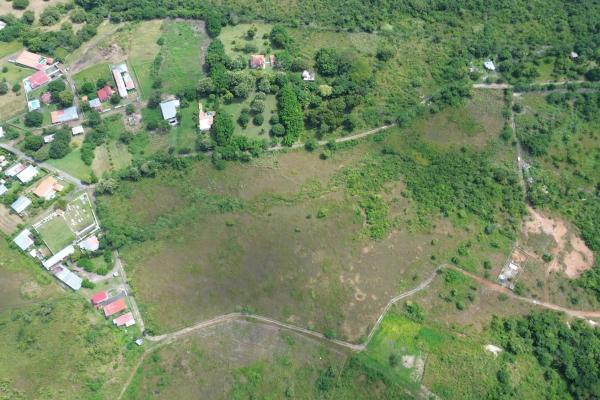 Hectares for sale in punta barco, san carlos