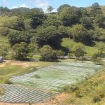 Venta de finca agroindustrial en volcan