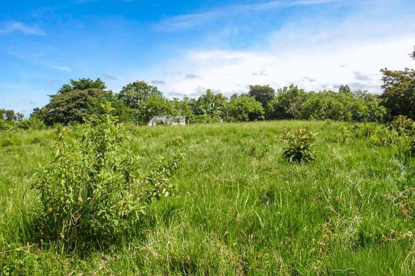 16,113 m² land with creek & mountain views, dolega