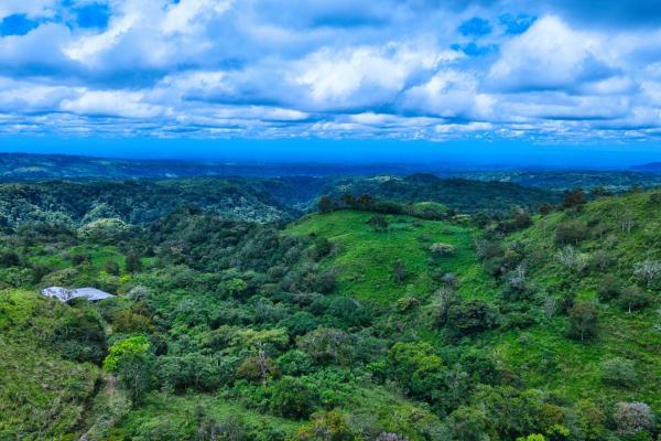 55.74 hectares of paradise in the mountains