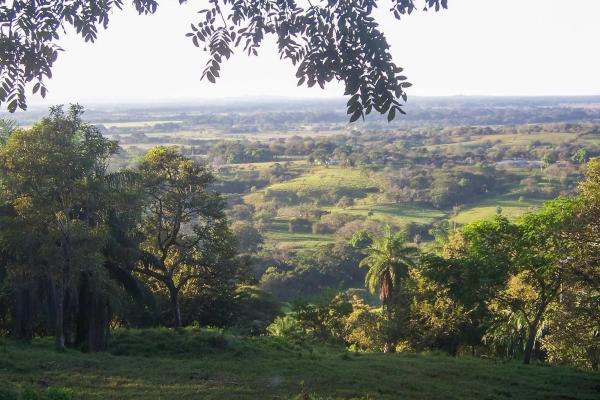 Expansive land for sale in las lomas, david