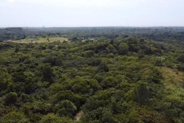 Finca de 4.3 hectareas – proyecto ideal comunidad