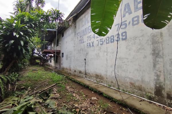 Warehouse with 1 hectare, coquito, david