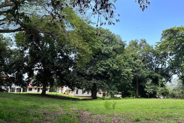 Ideal lot for beach house or development