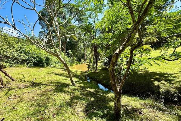 2.2 ha en cermeño con excelente ubicacion