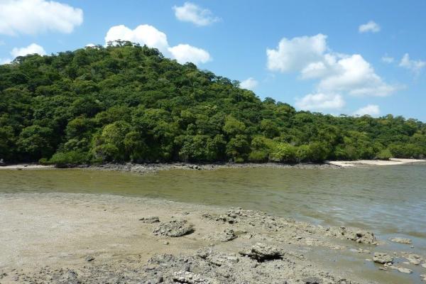 Beautiful and pristine beachfront property capira