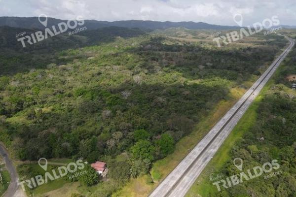 Finca en nuevo san juan , colón , 250 ha