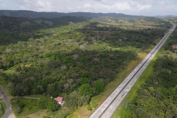 Finca en nuevo san juan , colón , 250 ha