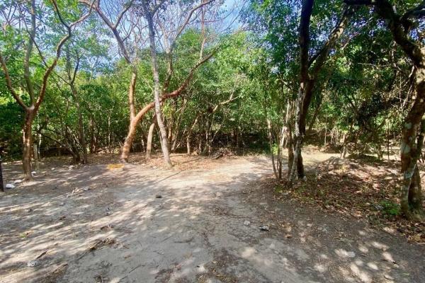Finca de 4.3 hectareas – proyecto ideal comunidad