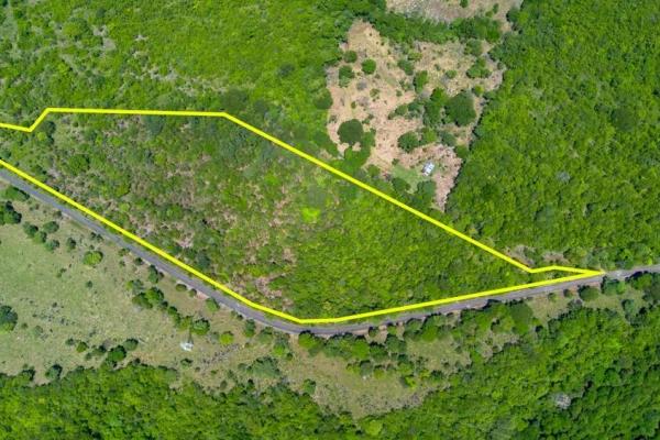 Spacious 59,086 m² land in síndigo, caldera