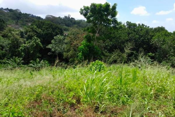 3+ ha in capira