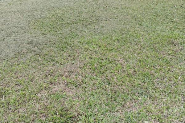Venta de lote en volcancito boquete