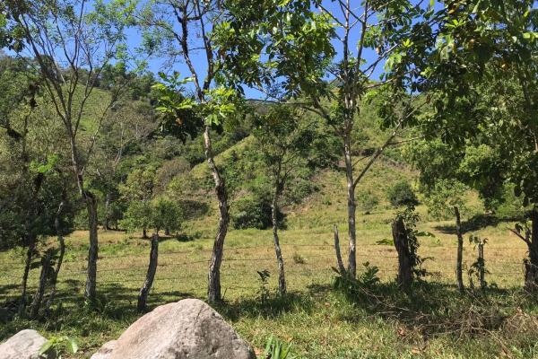 Expansive 146.652 ha property with water sources