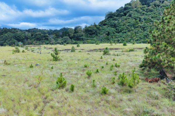 Large residential lot for sale – paso ancho