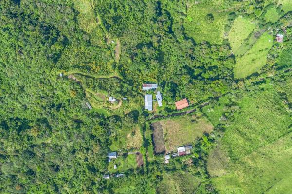 15-hectare self-sufficient property