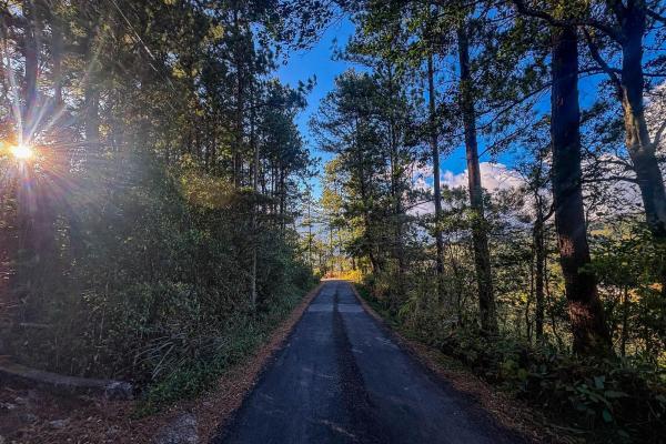 Mountain view lot for sale in jaramillo, boquete