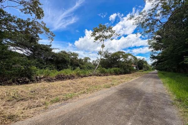 1.28-acre lot sale in potrerrillos, dolega
