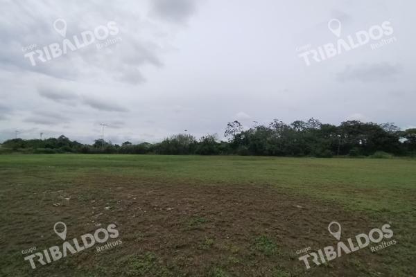 Venta de terreno en santa maria business district
