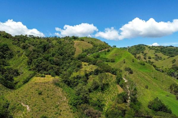 Amplia propiedad de 146.652 ha con fuentes de agua