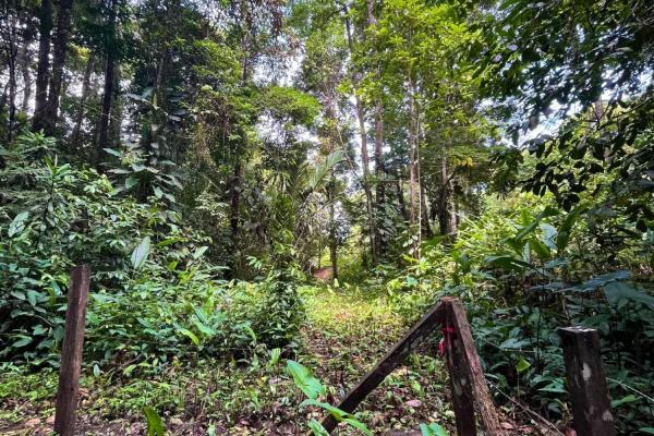 Casa frente al mar fuera de la red en venta