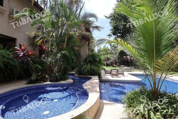 Alquiler de casa en altos del golf