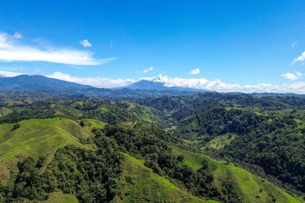 Expansive 146.652 ha property with water sources