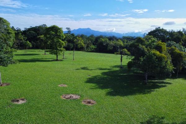 Lote de 1.86 hectáreas en potrerillos arriba dolega