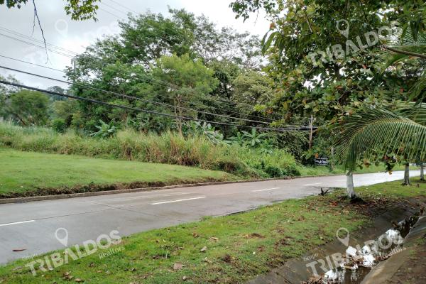 Terrreno comercial en veracruz