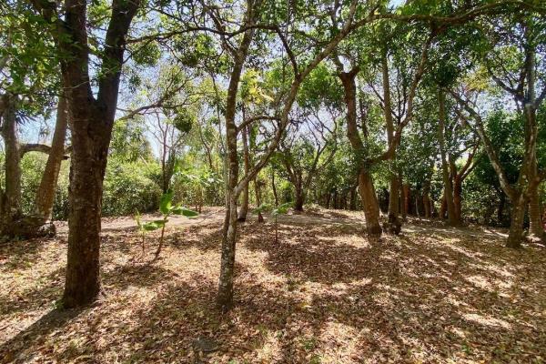 4.3 hectares finca – ideal community project