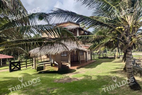 Sale of a beachfront house in palenque, colon.