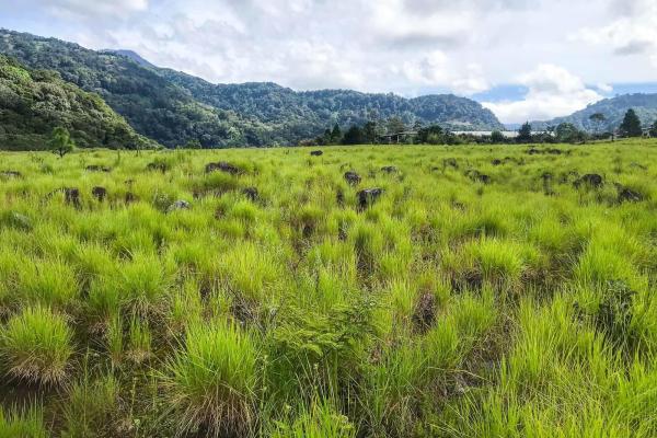 Serene flat land for sale with mountain views