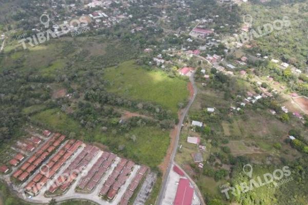 Venta de terreno para desarrollo de casas en arraijan