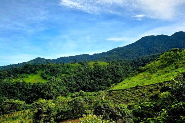 En venta – finca agrícola de 65.9 hectáreas en boquerón, las monjas