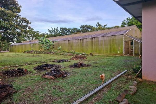 Riverfront home with greenhouse in dos rios