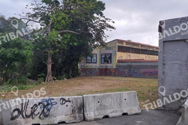 Sale of land in pueblo nuevo