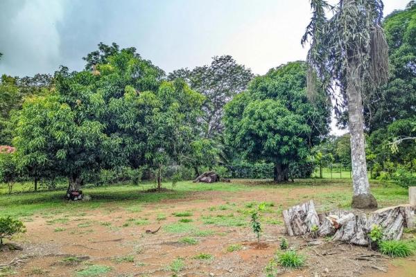Roadside property with 2,906 m² in dolega