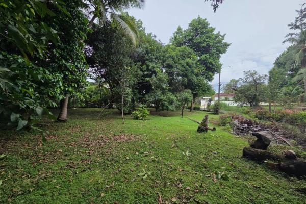 Land for sale in chepo