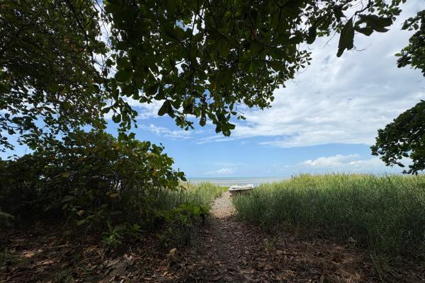 +9 hectáreas de terreno plano frente al mar en venta