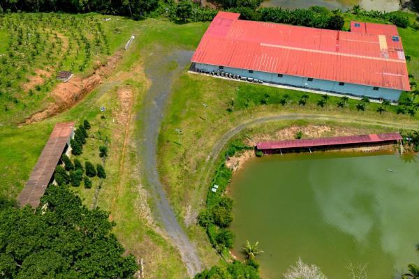 Excepcional finca rural en venta en capira