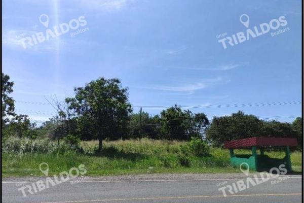 Land in front of panamericana in decameron